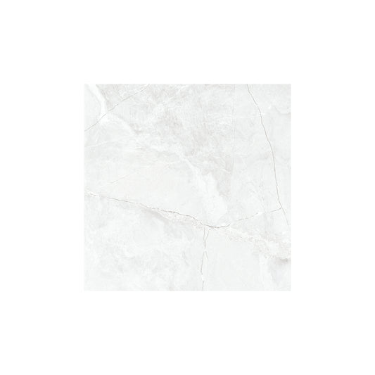 CARR ZEUS SILVER 50X50 (1,75M²/PQ)