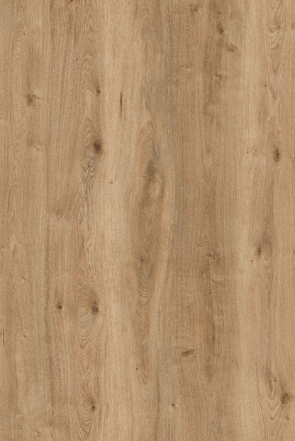 AGT CONCEPT NEO SCALA 10MM (1,48M²/PQ), parquet AGT, Debrico, magasin de matériaux de construction sur Bruxelles et Laeken