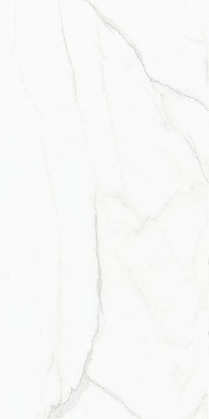 STATUS NATURAL TILES 60X120 (1.44M²/PK)
