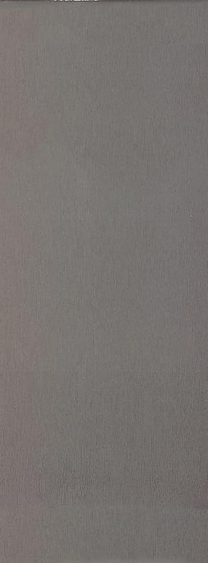 CARR TREND GREY 25 X 50  WALL 1,38 M²/PQ