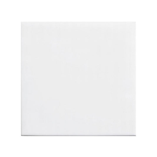 CARR  20X20 BLANC MAT 1M²/PQ/COECK