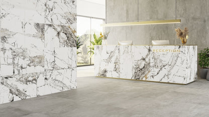 CARRELAGE INVISIBLE MARBLE 60X120 (1,44M²/PQ)