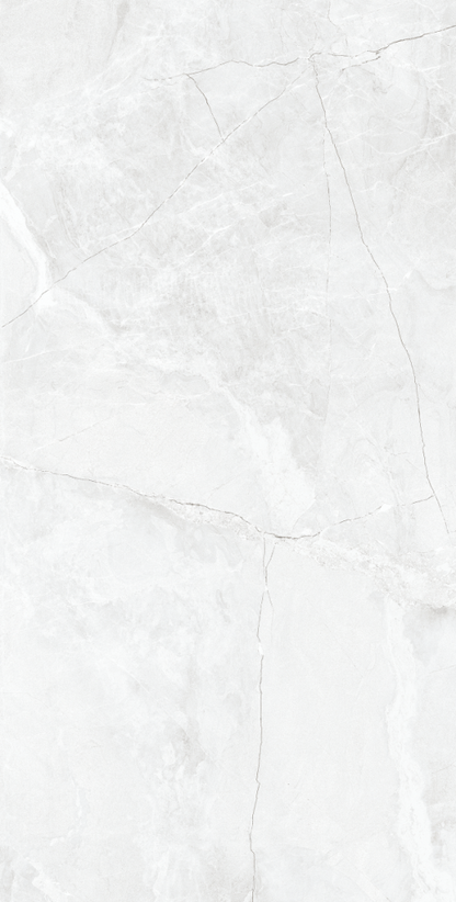 CARR ZEUS SILVER 30X60 (1.44 M²/PACK)