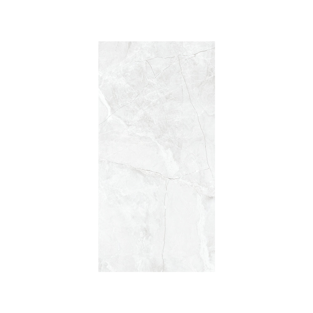 CARR ZEUS SILVER 30X60 (1.44 M²/PACK)