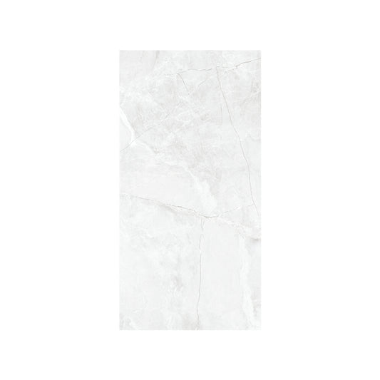 CARR ZEUS SILVER 30X60 (1.44 M²/PACK)